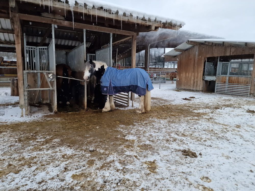 2023 12 Dezember 639